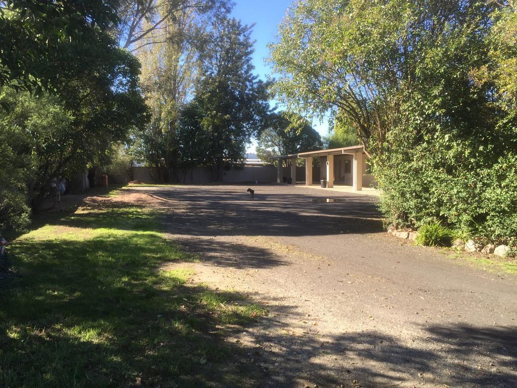 Murray Valley Motel Wodonga Esterno foto